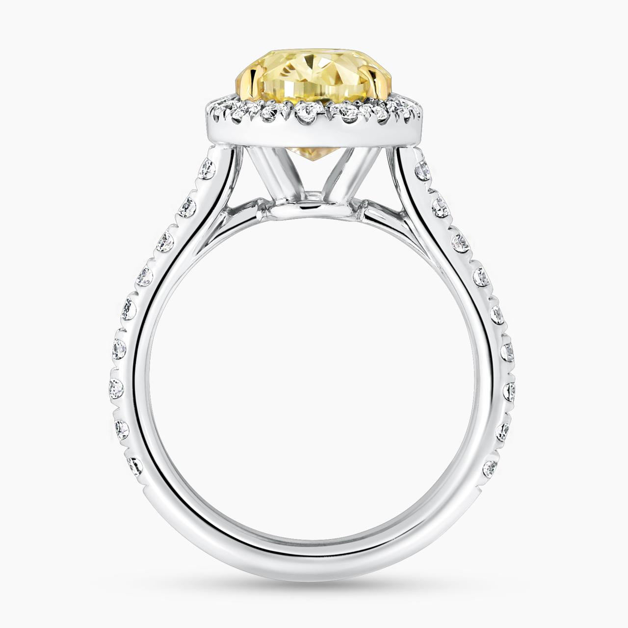 18ct white and yellow gold 3.50ct fancy yellow oval cut and white diamond halo ring