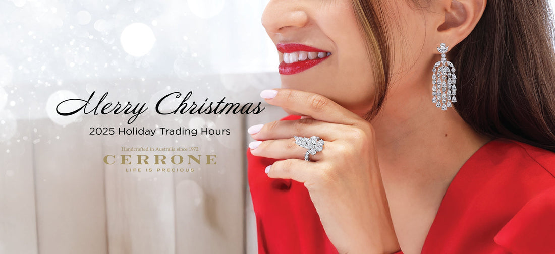 Plan Your Holiday Shopping with Cerrone