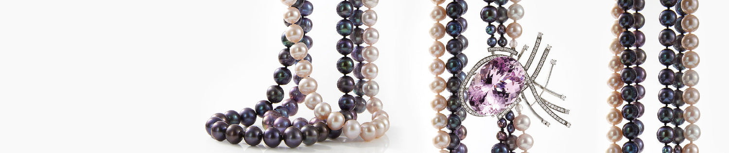 Carmela Cerrone Collection