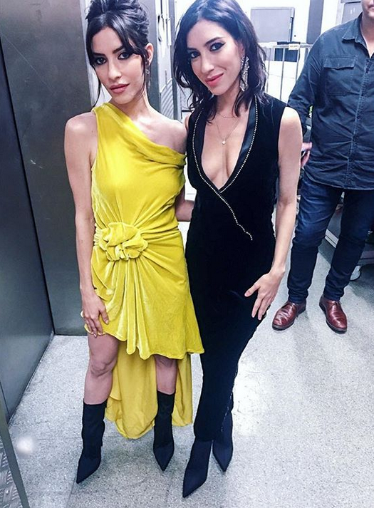 THE VERONICAS