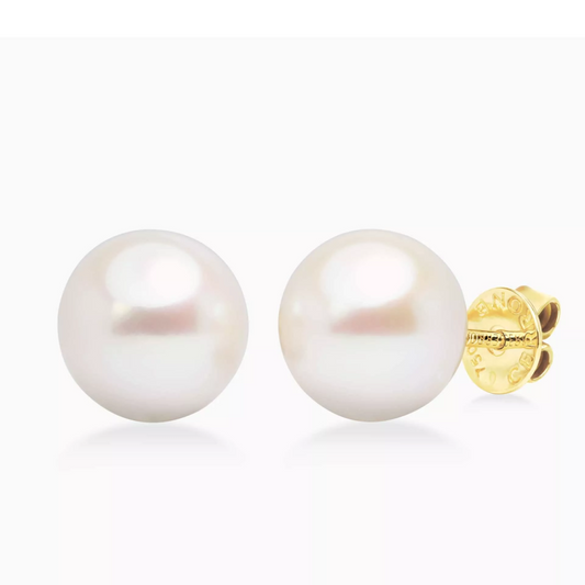 18ct yellow gold 10mm South Sea pearl stud earrings